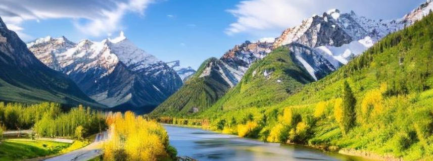 郑州市长沙艺术涂料有限公司轮播图3